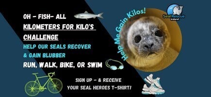 Join our Oh-Fish-All - Kilometers for Kilo's Challenge & Help our Seals Recover & Gain Blubber!